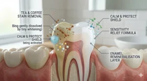 A detailed visual showing how the gentle whitening formula lifts deep-set stains while protecting the sensitive gum line.